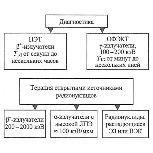 Курсовая работа по теме Применение радионуклидов в ядерной медицине